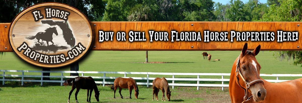 Buy Or Sell Your Florida Horse Properties Here!